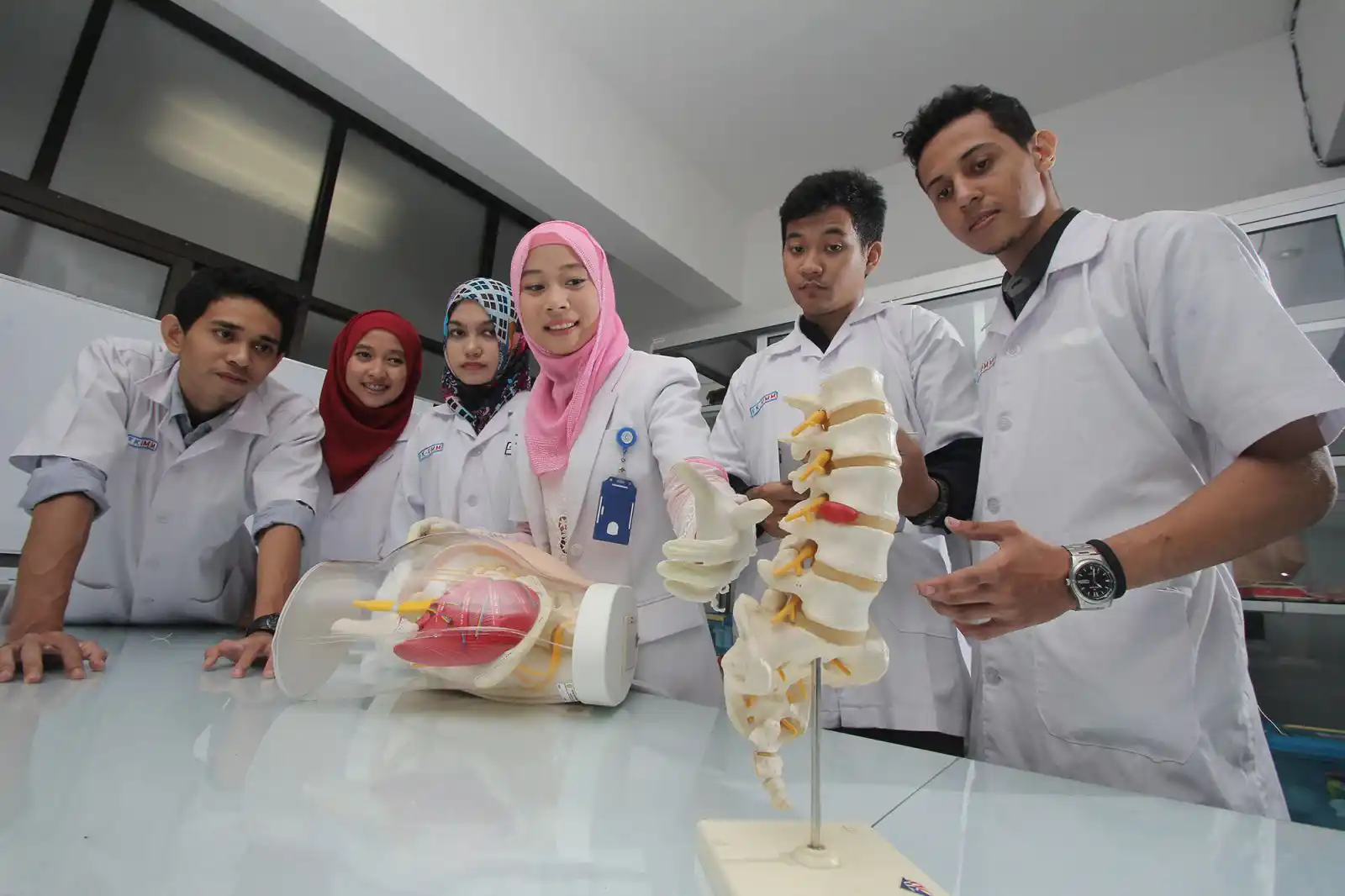 Jenjang Pendidikan Dokter