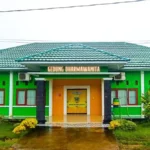 Rumah Sakit Jiwa Jambi