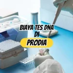 Biaya Tes DNA di Prodia