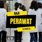 Gaji Perawat di Korea